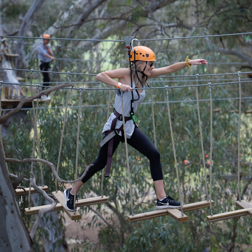 altus outdoor concept grand parcours aventure grand adventure course web