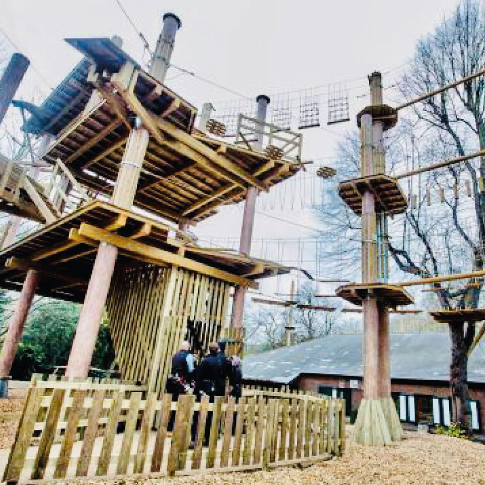 altus outdoor concept support artificiel artificial support web